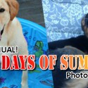 Dog Days of Summer Photo Contest 2013