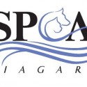 Niagara County SPCA Open House
